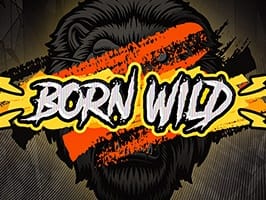 Born Wild screenshot